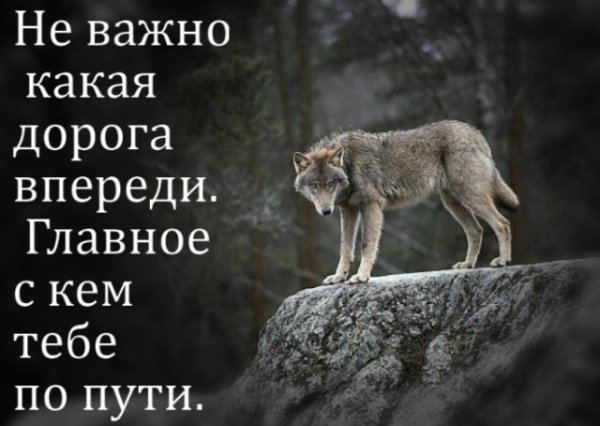 Помни