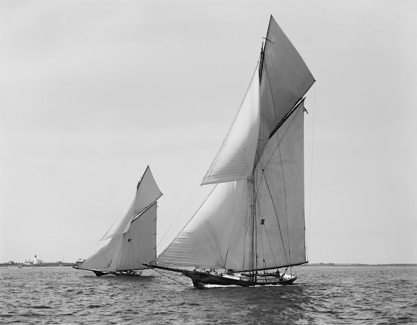 IMG viter59 Gracie Barbara 1891