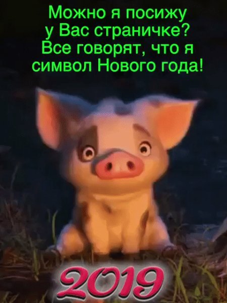IMG 20181227 195129