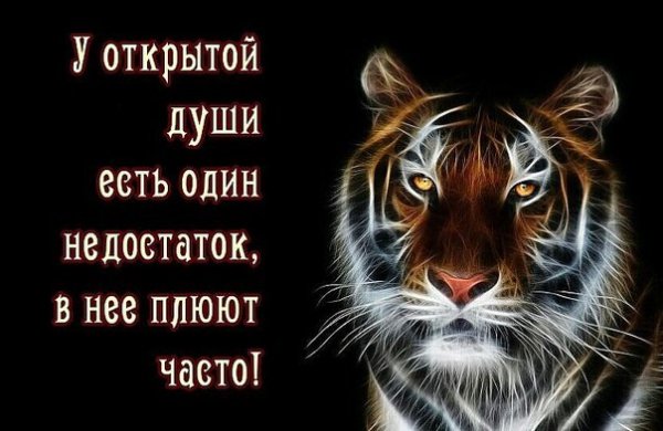 Недостаток