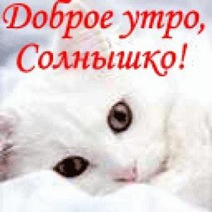Доброе утро
