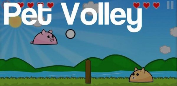 Pet Volley