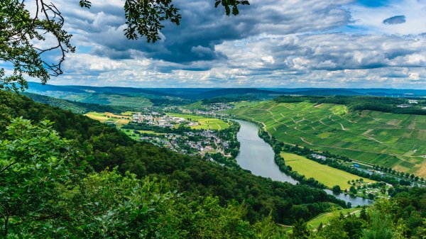 Lizer-germaniia-panorama-vid