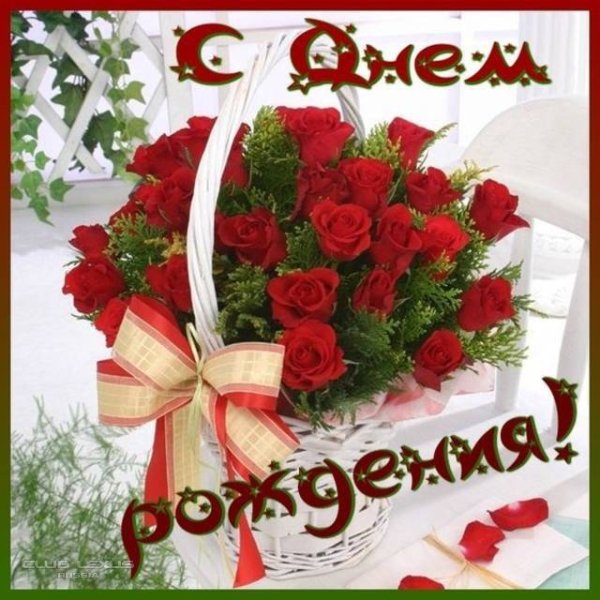file_81284578