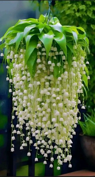 file_96512428