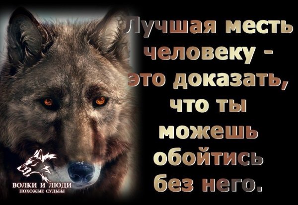 Лучшая месть