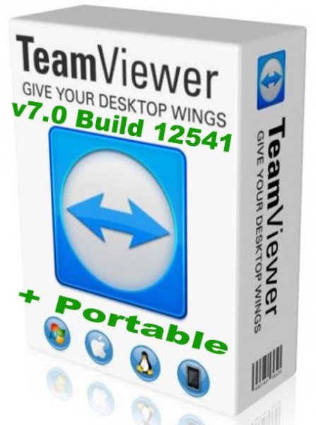 TeamViewer Setup ru (4)