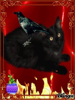 Xmo I Gotika12240x320