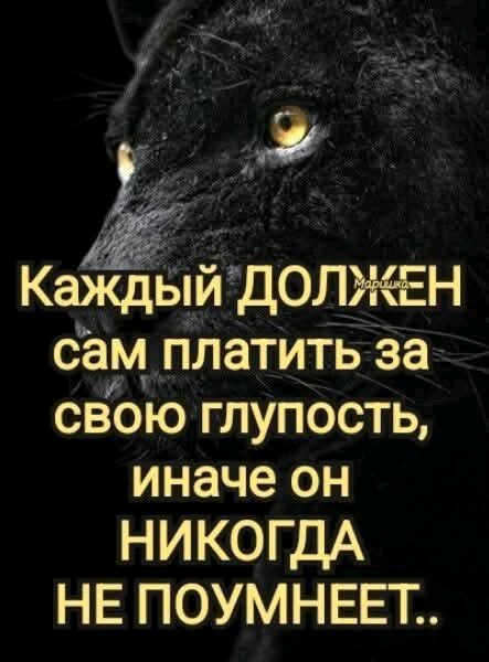 file_100285278