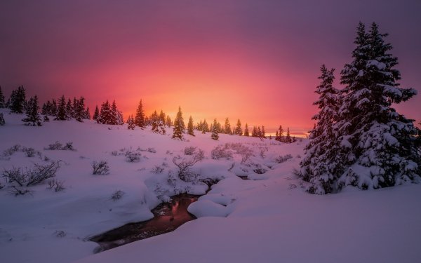 ComputerDesktopWallpapersCollection1836 041