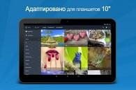 7Fon-v1-0-10