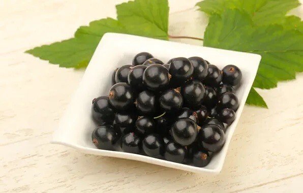 Горох для смородины и крыжовника
