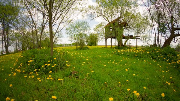 Treehouses Premium 2
