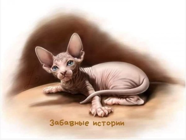 IMG 1725337611206