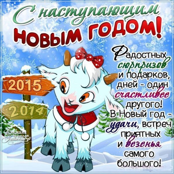 9iqsxoqrjcQ