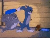 Tom-and-jerry-tom-and-jerry-cartoon