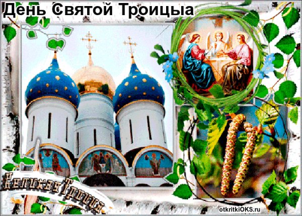 IMG 20170604 115128 0