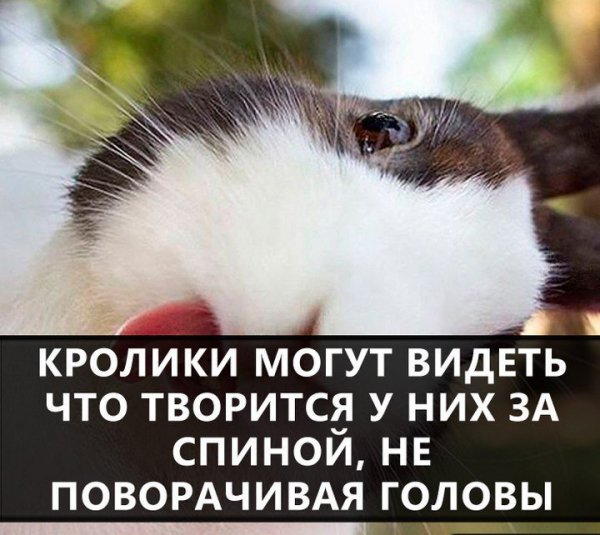 file_74165482