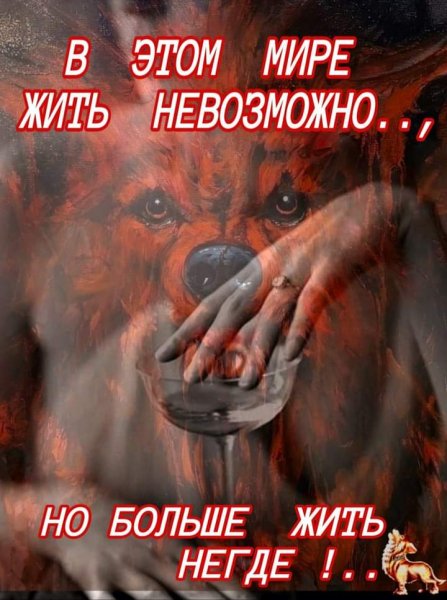 FB IMG 1604573041282