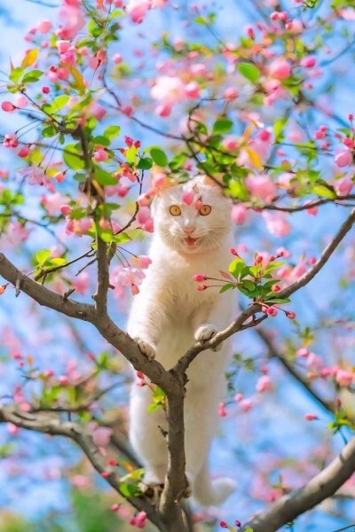 file_96614110