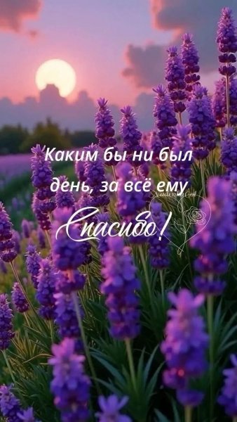 IMG 20260813 010133