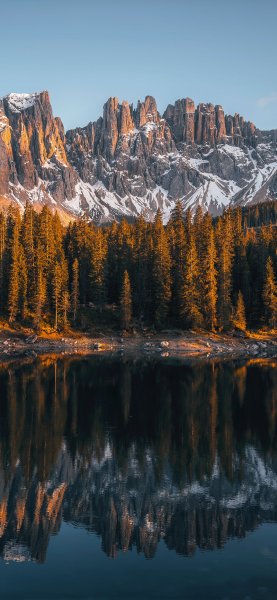 file_101824459