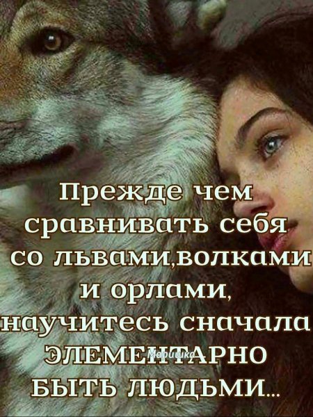 f.1200.1200.0