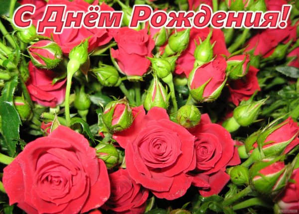 file_81286662