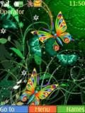 color butterfly