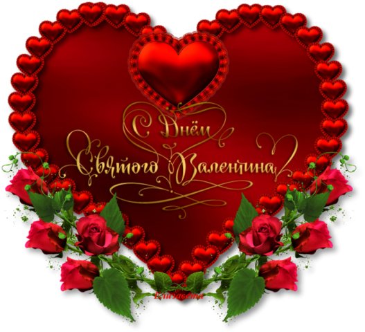 IMG 20150214 105045 0
