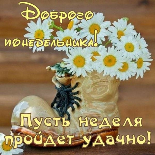 file_91784677