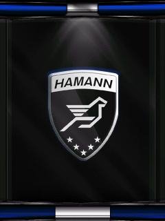 Hamann V49FM