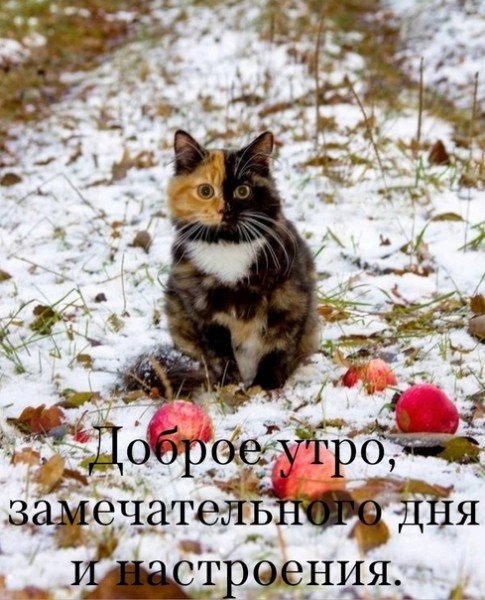 file_95111366