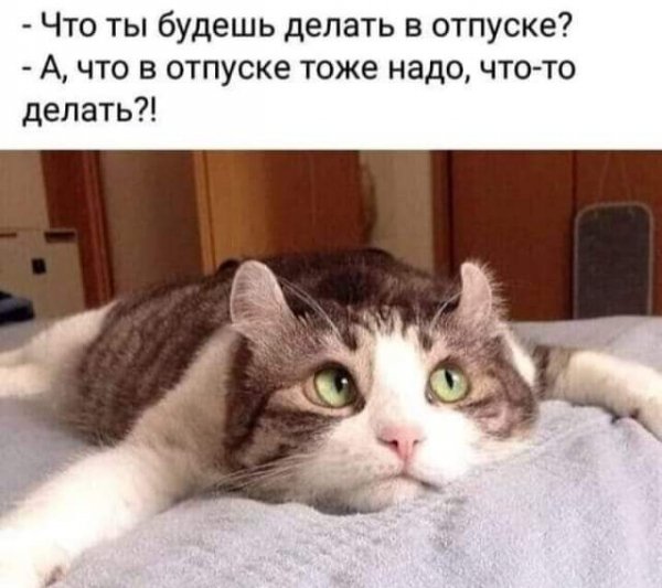 FB IMG 1598287347253