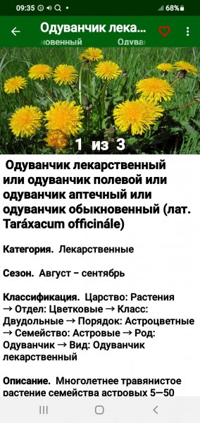 Лекарственные растения