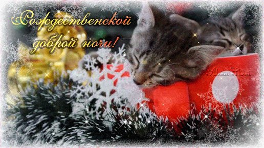 Рождественской доброй ночи!
