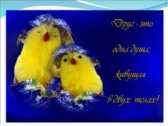Друг-это