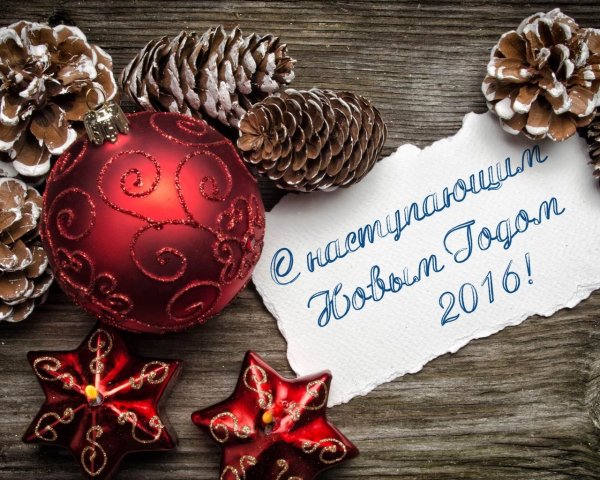поздравление шишки звезды шар
