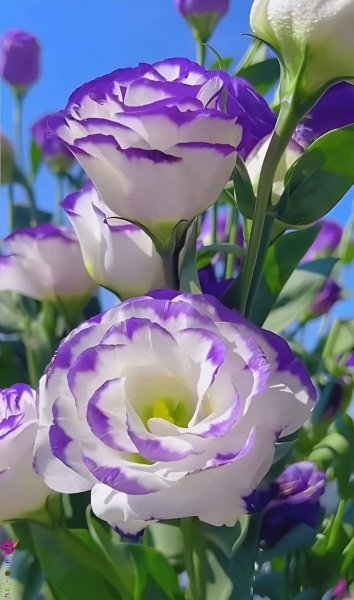 file_99140184