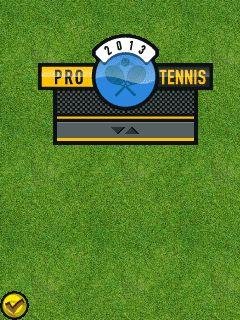 pro tennis 2013