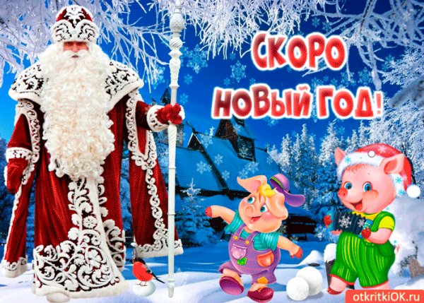 skoro-novyy-god-svini-51438-7098060
