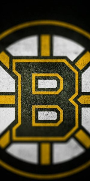 Bruins Logo-ecd862ae-f428-4597-83c1-e298f5592f1d