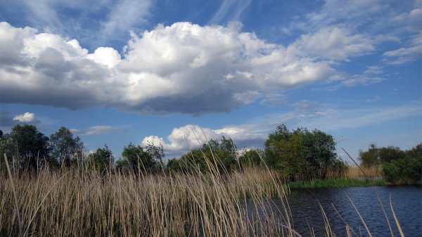 Красоты родной природы 6 32
