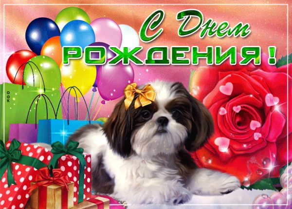 IMG 20190517 091412