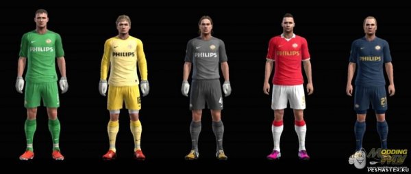 PSV 2013-14