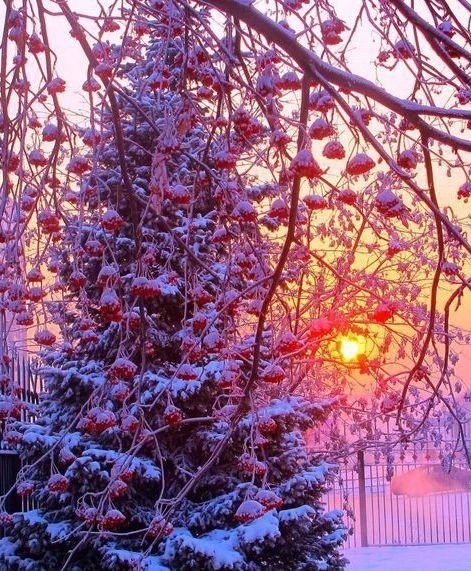 file_95348379