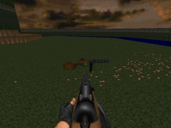 PPSh