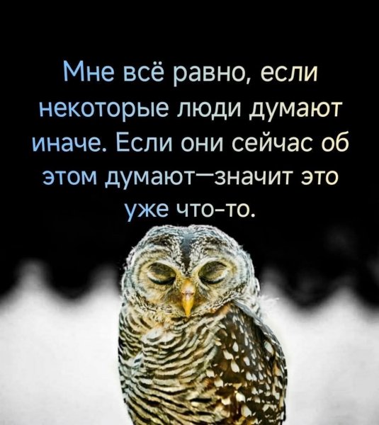 FB IMG 1776072848514