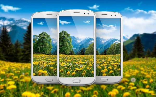 Mountain Dandelions Free - v.1.02