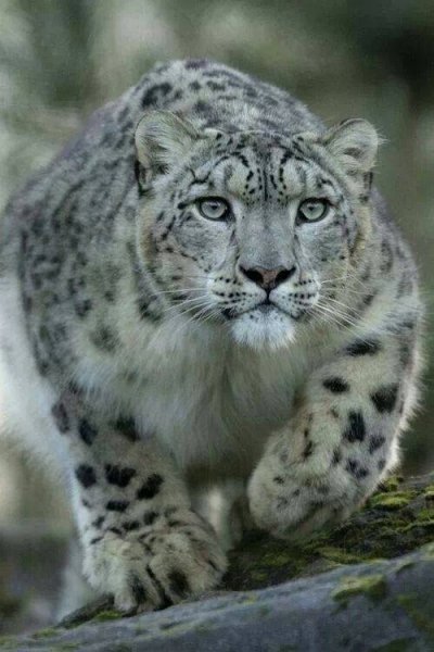 file_93966600